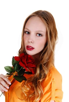 A young pretty teenager with long blond hair holding a red rose, in a .yellow blouse, isolated on white background..