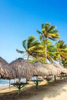 Row of tables and palm trees on a beach in Covenas, Colombia