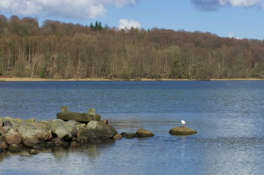 The fjord seen from Wassersleben (Flensburg)