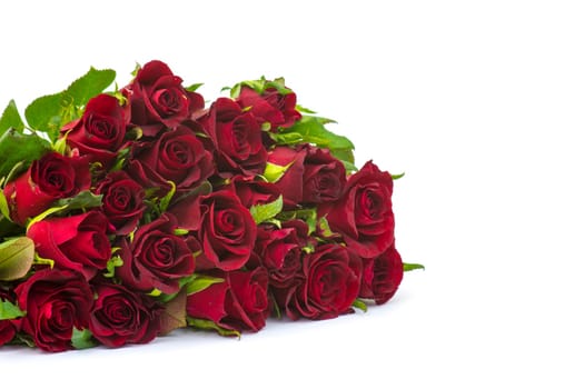 red roses