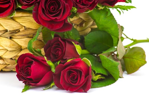 red roses