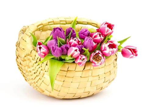 colourful tulips in a basket
