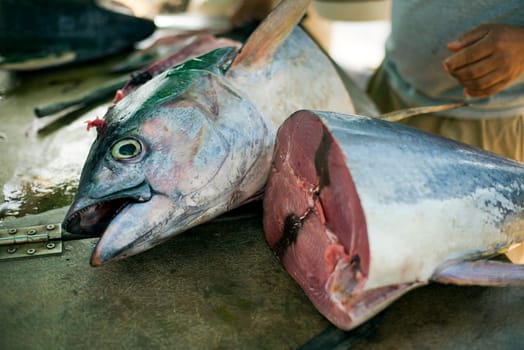 Man cutting big tuna fish close up shoot