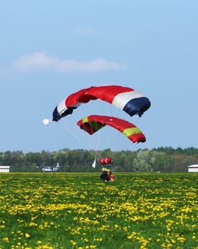 Skydivers