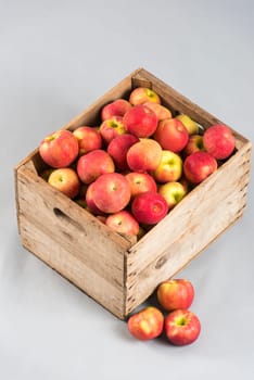 crate full of apples isolated on white background.