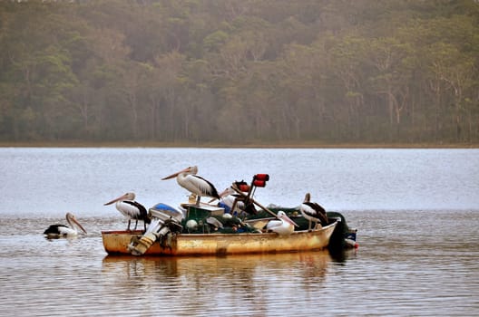 the boat is full