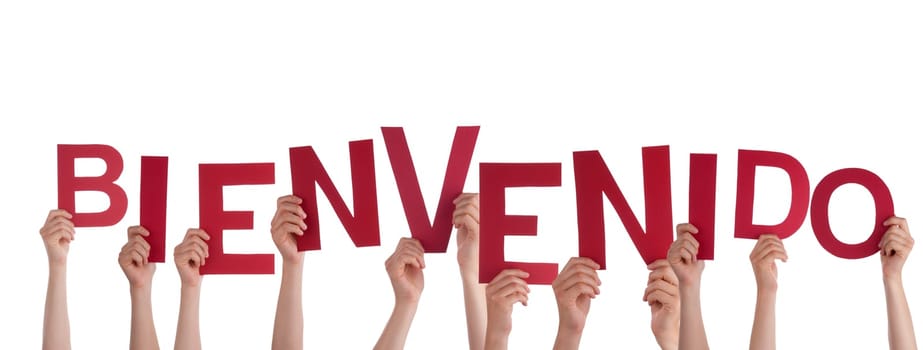 Many Hands Holding the Spanish Word Bienvenido, which means Welcome, Isolated