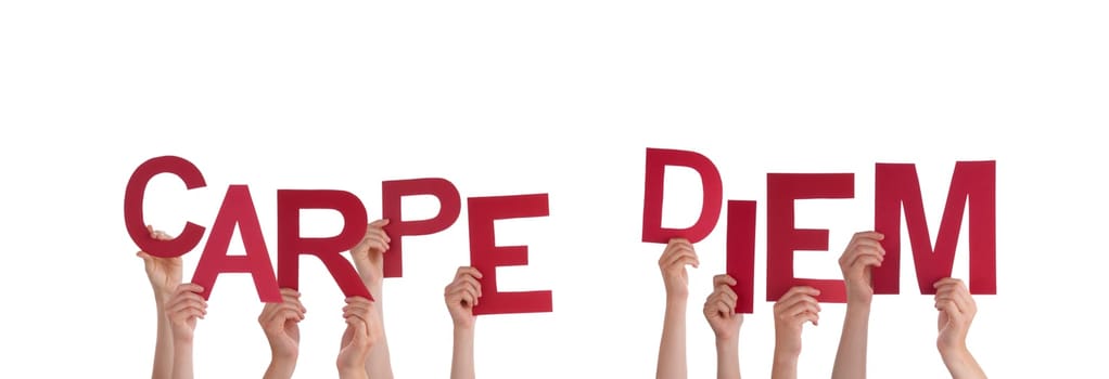 Many Hands Holding the Latin Words Carpe Diem, Isolated