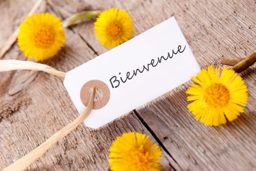 White Banner with the French Word Bienvenue which means Welcome