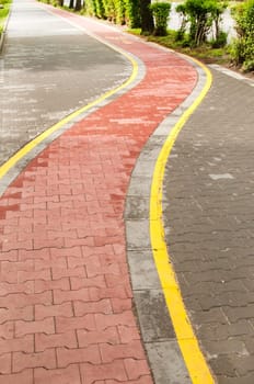 Marked bicycle path as part of city pedestrian zone