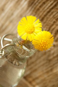 Two Yellow Flowers in a small Bottle or Vase