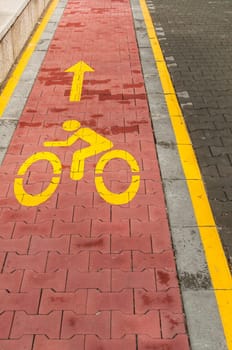 Marked bicycle path as part of city pedestrian zone