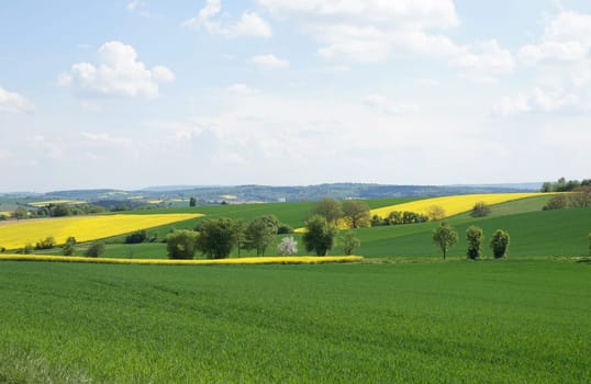 Landscape in spring