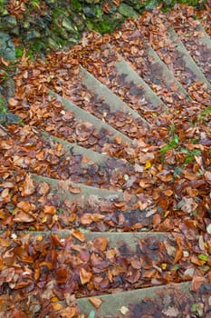Wet autumn foliage on a staircase in the park