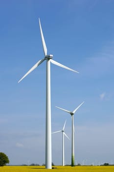 The photograph of wind turbines on a flowering rapefield.