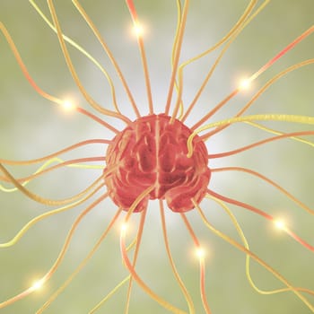 Ramifications brain, concept of the human brain system.