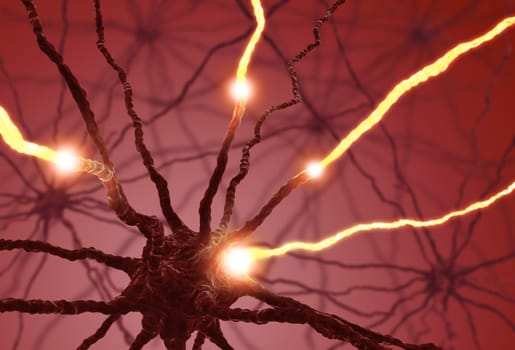 Interconnected neurons transferring information with electrical pulses.