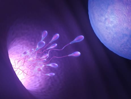 Stylized illustration of various sperm going to meet the egg in the process of human fertilization.