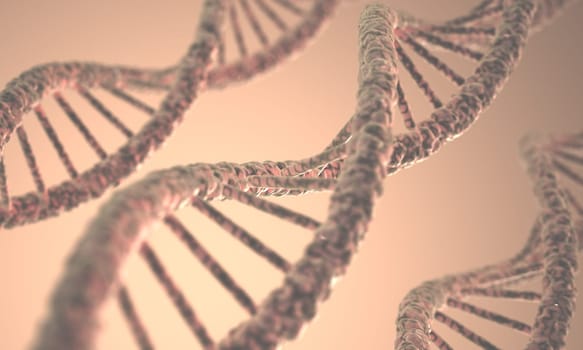 Long structure of the DNA double helix in depth of view.