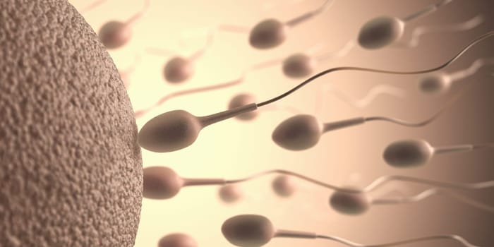 A lot of sperms going to the ovule. Image concept of fecundation.
