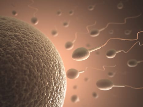 A lot of sperms going to the ovule. Image concept of fecundation.