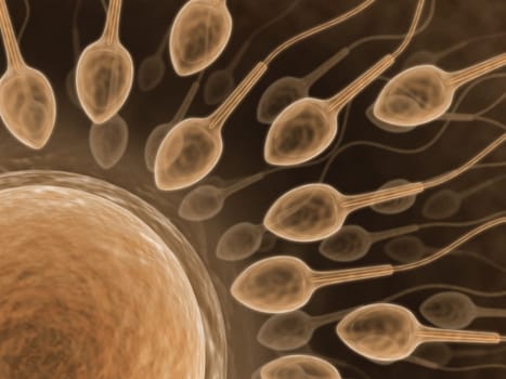 A lot of sperms going to the ovule. Image concept of fecundation.