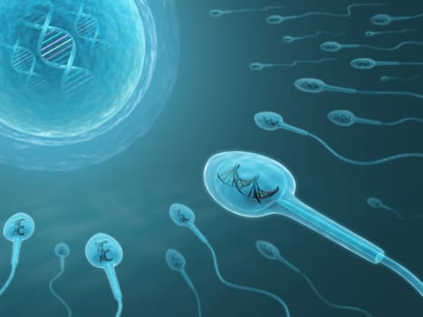 A lot of sperms going to the ovule. Image concept of fecundation.