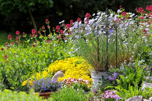 Colourful flower splendour in the garden