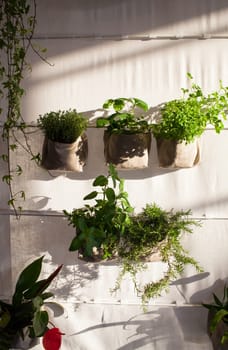 Voew of flower and plant pots on fabric wall