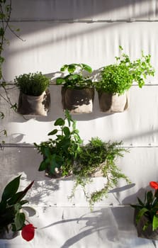 Voew of flower and plant pots on fabric wall