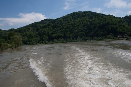 Forest,in the foreground the danube river