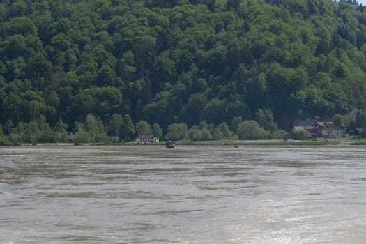 Forest,in the foreground the danube river
