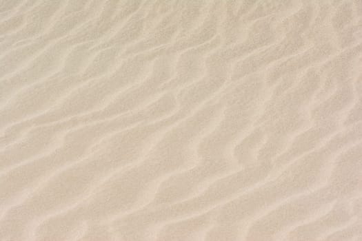 Image-filling sand surface as background.