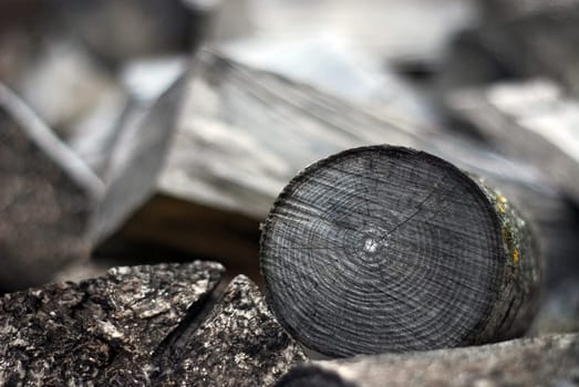 Firewood for winter