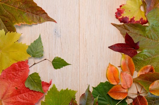 Autumn leaves background