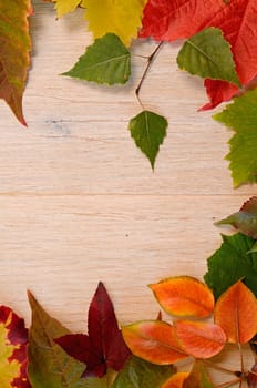 Autumn leaves background