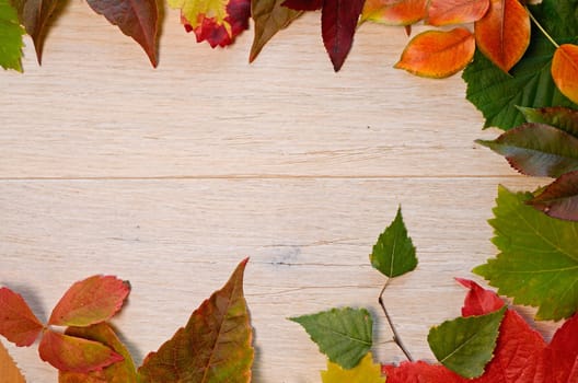 Autumn leaves background