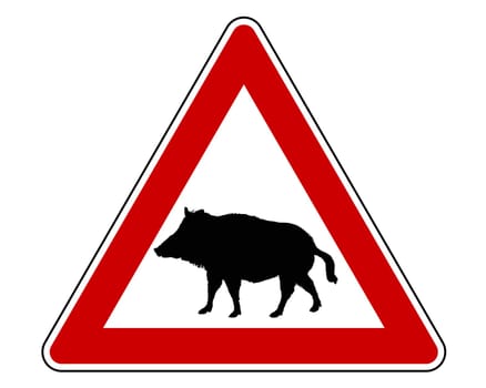 Attention wild boar