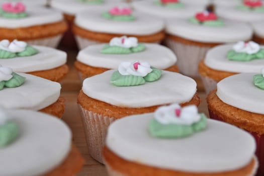 Wedding Cupcakes