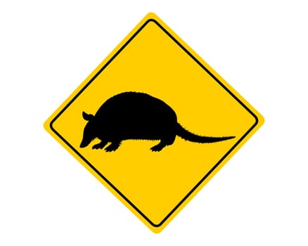 Attention armadillo