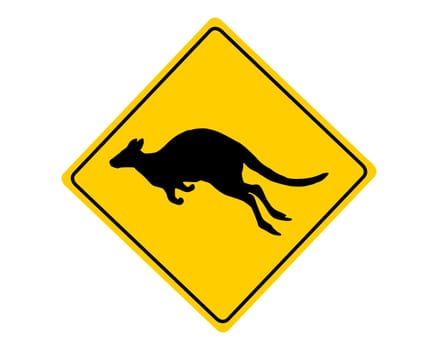 Attention Kangaroo