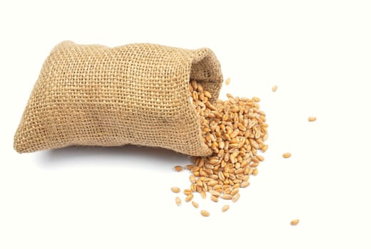 Grain bag on white