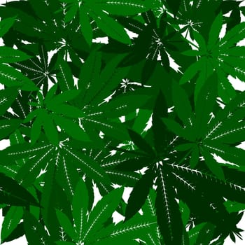 Marijuana leaves  seamless pattern design