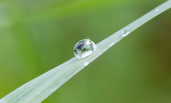Water pearl