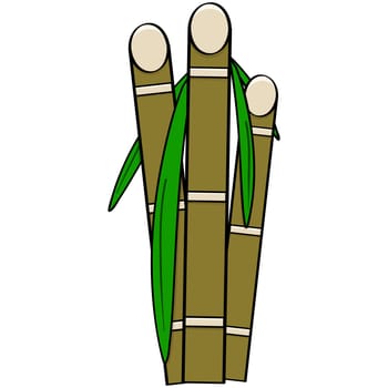 Cartoon illustration showing three stalks of sugar cane with leaves