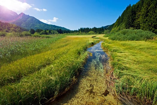 river landscape on a beautiful sunny day