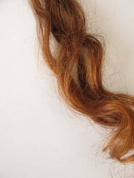 Maroon strands of hair