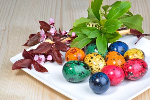 Easter eggs and spring flowers on a white ceramic saucer