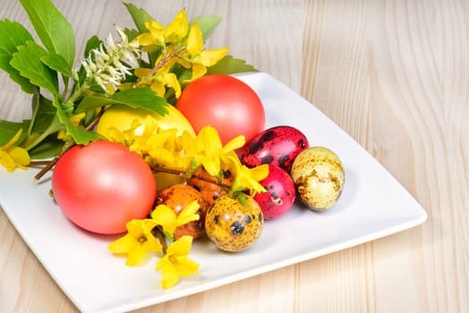 Easter eggs and spring flowers on a white ceramic saucer