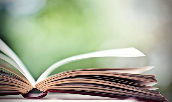 Close up on open book